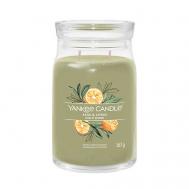 Ароматическая свеча Sage & Citrus 567 YANKEE CANDLE