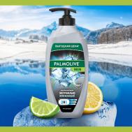 Гель для душа освежающий 3 в 1 FOR MEN Арктический ветер 750 PALMOLIVE