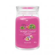 Ароматическая свеча  Art In the Park 567 YANKEE CANDLE