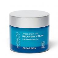 Восстанавливающий крем для лица с салициловой кислотой 50 ANDALOU NATURALS