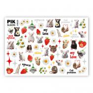 Слайдеры для ногтей P-113 Крысы Пик