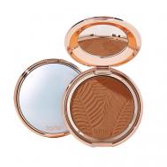 Тональная основа-пудра Amazonian Clay Blurring Powder Foundation 8 Tarte