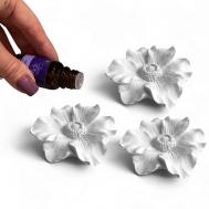 Набор Аромакамень Цветок Анемон Magic Makers
