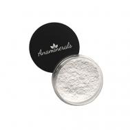 Матовая финишная пудра Retouch 5 ANAMINERALS