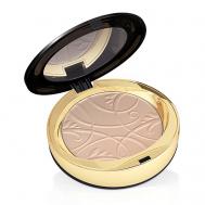 Пудра компактная для лица матирующая Celebrities Beauty Face Powder EVELINE