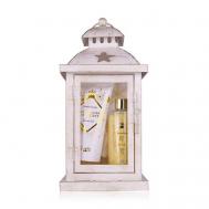 Winter Magic в металлическом фонаре ACCENTRA