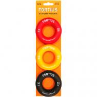 Набор кистевых эспандеров 5,10,20 кг (подложка) Fortius