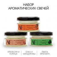 Набор из 3 шт ароматических свечей (апельсин-корица, елка и мандарины, пихта Фрейзера) ART FEEL