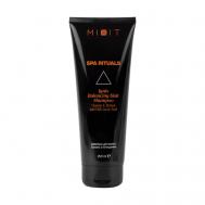 Шампунь для волос Баланс и Очищение 250 Mixit