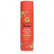 Шампунь для волос восстанавливающий Multiactive Rebalancing Shampoo 250 ULTIMATE CHEVEUX