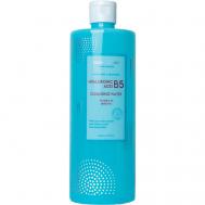Мицеллярная вода с гиалуроновой кислотой и экстрактами фруктов Hyaluronic Acid B5 Cleansing Water 500 SHINCOS.LAB