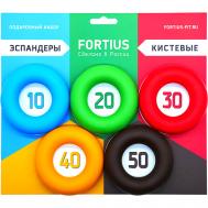 Набор кистевых эспандеров 10-50 кг (подложка) Fortius