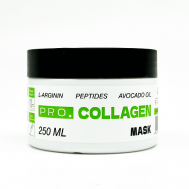 Укрепляющая маска  для ослабленных волос ProCollagen Mask 250 Parli