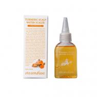 Mini Turmeric Scalp Water Scaler Шампунь с куркумой 50 STEAMBASE