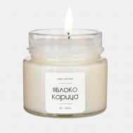 Ароматическая свеча в банке интерьерная Яблоко и Корица 100 SMELLHOME