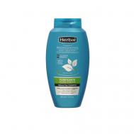 Шампунь для нормальных волос, склонных к жирности Professional Hair Treatment Pure Fresh Shampoo 500 Herbal