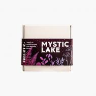 Твердый кондиционер для волос "Prebiotic+" 50 MYSTIC LAKE