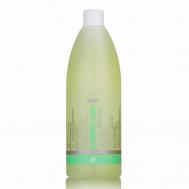 Шампунь для волос для ежедневного применения 970 SPA MASTER