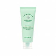 Cica & Ceramide Крем для лица с Центеллой Азиатской и Церамидами 75 Dermal