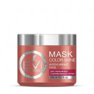 Маска "Интенсивный" уход для окрашенных и мелированных волос Mask Color Shine 300 EVI Professional