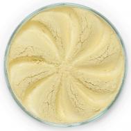 Минеральные тени для век Frost F ERA MINERALS