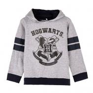 Толстовка с капюшоном детская Harry Potter
