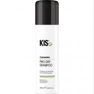 Сухой шампунь - Pro-Dry Shampoo 200 KiS