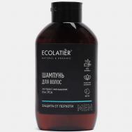 Мужской шампунь Защита от перхоти 400 ECOLATIER