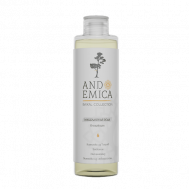 Мицеллярная вода. Очищение и уход с Байкалином и Пантенолом 200 ANDEMICA