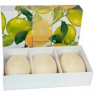 Набор мыла  Citrus / Цитрус 450 LA FLORENTINA