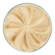 Минеральная вуаль Matte VL302 ERA MINERALS