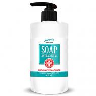 Жидкое мыло для рук антибактериальное Мечта Liquid Soap 450 EVI Professional
