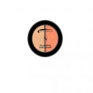 Тени для век 2-х цветные DUO COLOR Sitisilk