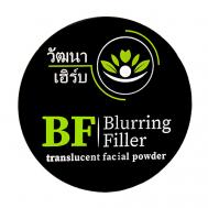 Матирующая компактная прозрачная пудра Blurring Filler 10 WATTANA HERB