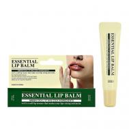 Бальзам для губ с экстрактом центеллы азиатской TENZERO