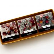 Набор мерцающей соли для ванны  (3 шт) с шиммером и сухоцветами 450 Solace