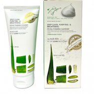 Глубокоочищающая пенка с экстрактом алоэ 100 ECOBRANCH