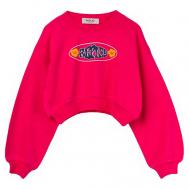 Свитшот SG2133.051.23164 Replay