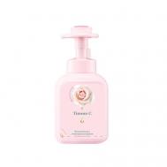 Пенка для мытья рук с антибактериальным эффектом 550 TIMSON C