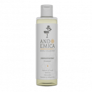 Успокаивающий антиоксидантный тоник для всех типов кожи с Байкалином и Ниацинамидом 200 ANDEMICA