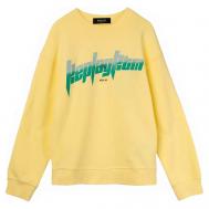 Свитшот SB2067.056.22739 Replay