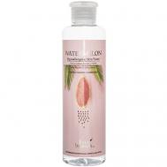 Тонер с экстрактом арбуза 250 ECOBRANCH