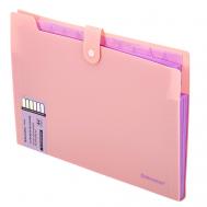 Папка-органайзер на кнопке Extra А4 Brauberg