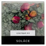 Мерцающая соль для ванны "Северный лес" с шиммером и сухоцветами 150 Solace