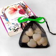 Ароматическое саше "Магнолия и базилик" FRAGANCIA