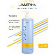 Шампунь для сохранения блеска и яркости окрашенных и мелированных волос Valeur 400 LIV DELANO