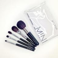 Набор кистей MINI из волоса кашмирской козы на черной ручке, 5 шт. в прозрачном пенале VALERI-D