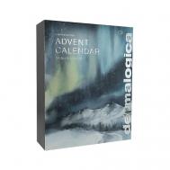 Адвент-календарь Limited Edition Advent Calendar 2025 Dermalogica