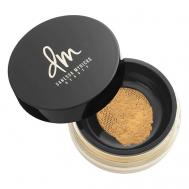 Пудра для лица Evolution Powder Invisible 11 DANESSA MYRICKS