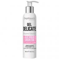 Гель универсальный очищающий с энзимами граната, алоэ и хлоргексидином Gel Delicate Enzyme Cleanser 300 DEPILTOUCH PROFESSIONAL